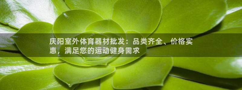 极悦平台注册用户名验证：庆阳室外体育器材批发：品类齐