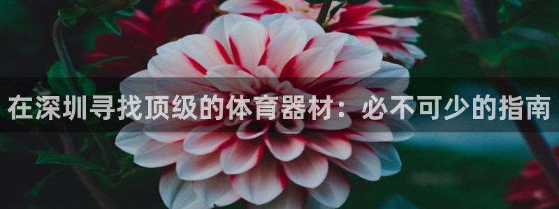 极悦平台有风险吗现在：在深圳寻找顶级的体育器材：必不