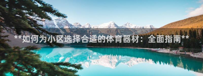 极悦平台有风险吗现在：**如何为小区选择合适的体育器