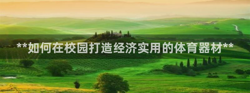 极悦平台代理怎么赚钱的：**如何在校园打造经济实用的