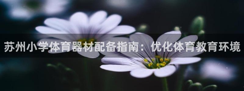 极悦娱乐代理怎么样：苏州小学体育器材配备指南：优化体