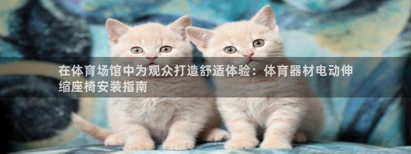 极悦娱乐股东结构：在体育场馆中为观众打造舒适体验：体