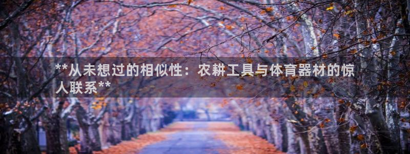 极悦平台app二维码怎么弄出来：**从未想过的相似性