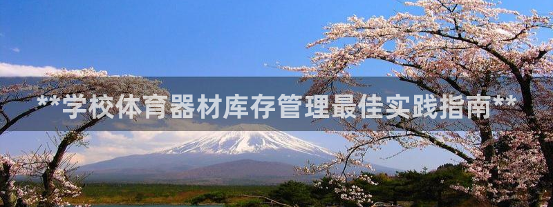 极悦平台代理怎么做的：**学校体育器材库存管理最佳实