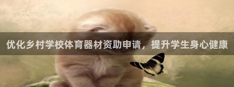 极悦平台用户评价怎么样：优化乡村学校体育器材资助申请