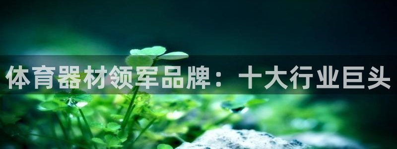 极悦平台官网登录网址是多少：体育器材领军品牌：十大行