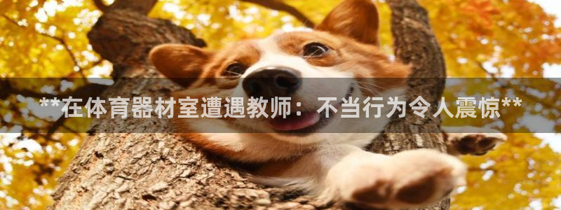 极悦平台注册用户名验证不了：**在体育器材室遭遇教师