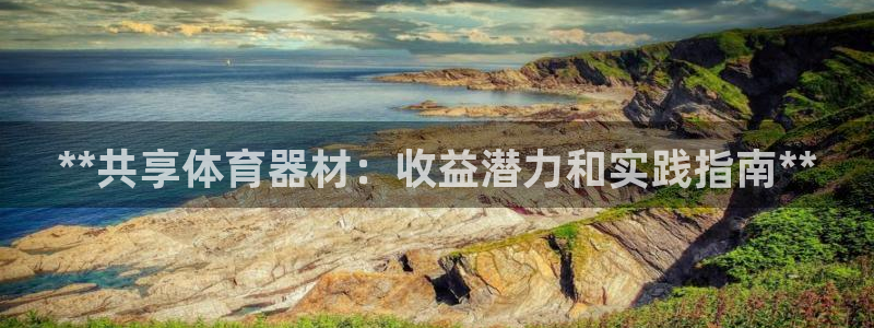 极悦平台官方网站登录网址：**共享体育器材：收益潜力