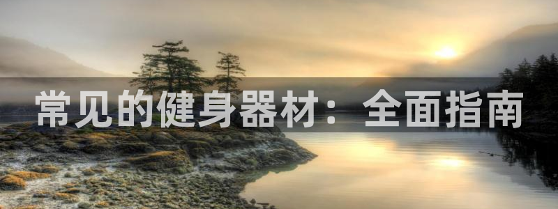 极悦官网登录：常见的健身器材：全面指南