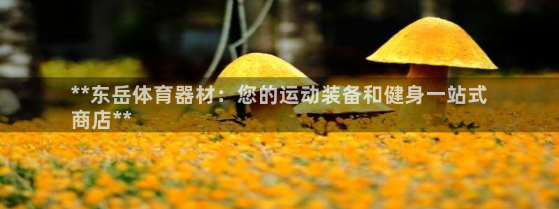 极悦娱乐贴吧官网：**东岳体育器材：您的运动装备和健
