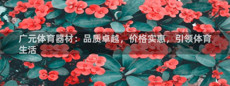 极悦平台决7O777：广元体育器材：品质卓越，价格实