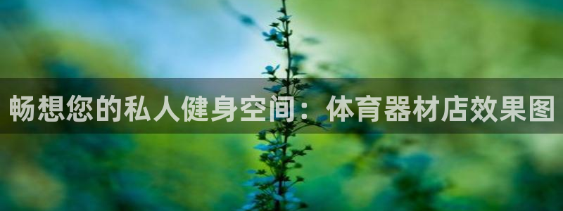 极悦官方网站入口网址：畅想您的私人健身空间：体育器材