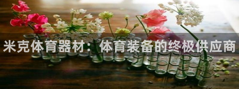 极悦平台注册太7.0.2.4怎么解决：米克体育器材：