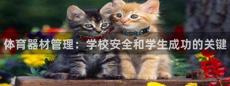 极悦平台注册官网下载：体育器材管理：学校安全和学生成