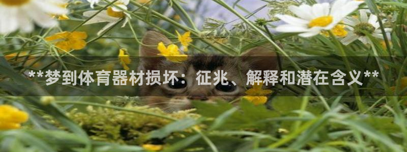 极悦平台安全吗可靠吗：**梦到体育器材损坏：征兆、解