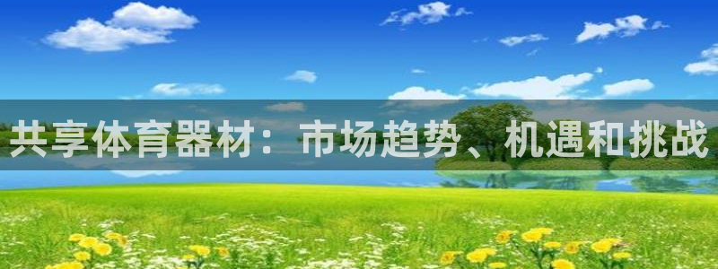 极悦平台和蓝狮平台区别在哪