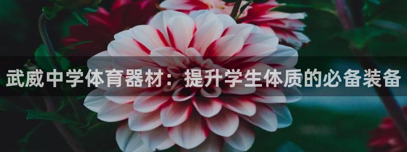 极悦平台代理电话：武威中学体育器材：提升学生体质的必