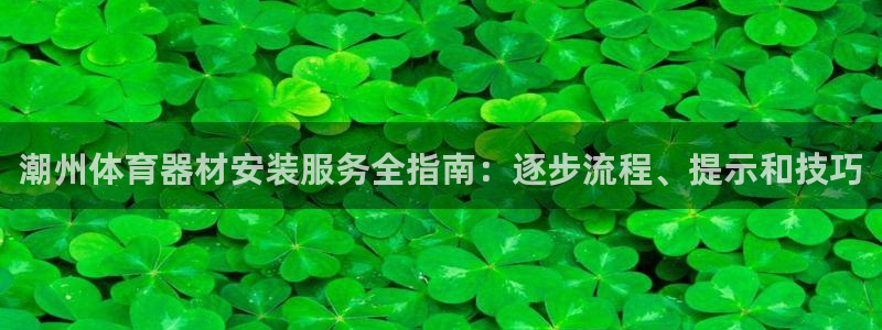 极悦平台注册登录：潮州体育器材安装服务全指南：逐步流
