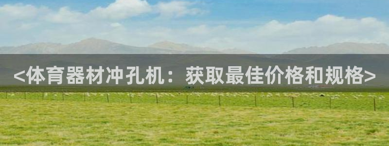 极悦平台用户评价与反馈在哪里：<体育器材冲孔机：获取