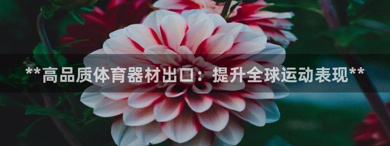 极悦娱乐贴吧官网：**高品质体育器材出口：提升全球运