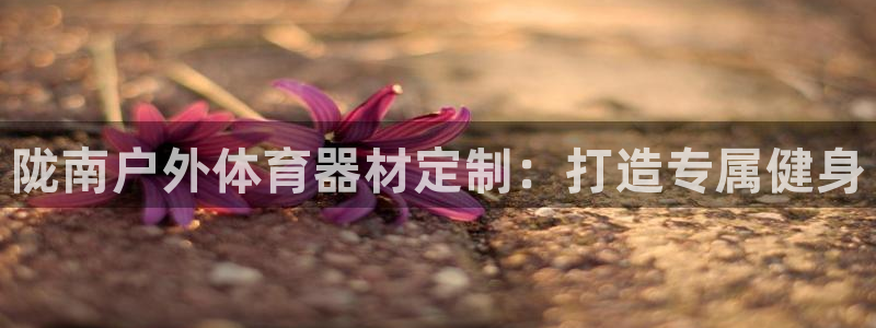 极悦娱乐的创始人背景故事简介：陇南户外体育器材定制：