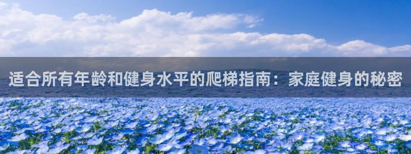极悦平台代理怎么赚钱的：适合所有年龄和健身水平的爬梯