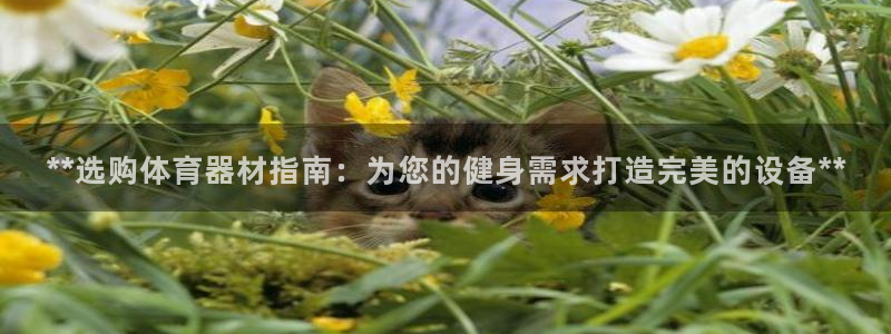 极悦平台是干嘛的公司：**选购体育器材指南：为您的健身需求打
