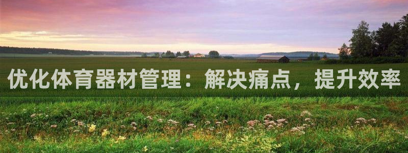 极悦平台是正规平台吗安全吗知乎：优化体育器材管理：解