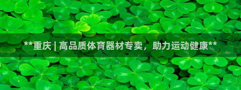 极悦平台客服团队介绍：**重庆 | 高品质体育器材专卖，助力
