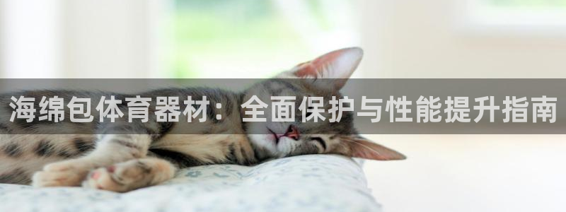 极悦平台用户评价：海绵包体育器材：全面保护与性能提升