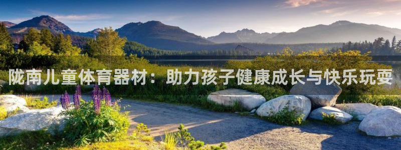极悦平台注册登录入口官网：陇南儿童体育器材：助力孩子健康成长