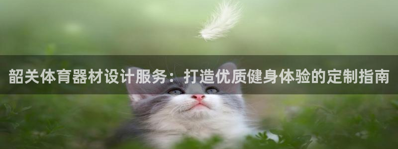 极悦官方网站入口网址：韶关体育器材设计服务：打造优质健身体验