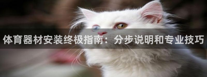极悦平台注册登录不上：体育器材安装终极指南：分步说明
