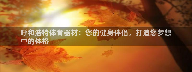 极悦平台告7O777：呼和浩特体育器材：您的健身伴侣，打造您