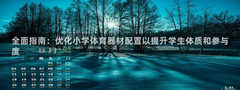 极悦平台是什么：全面指南：优化小学体育器材配置以提升