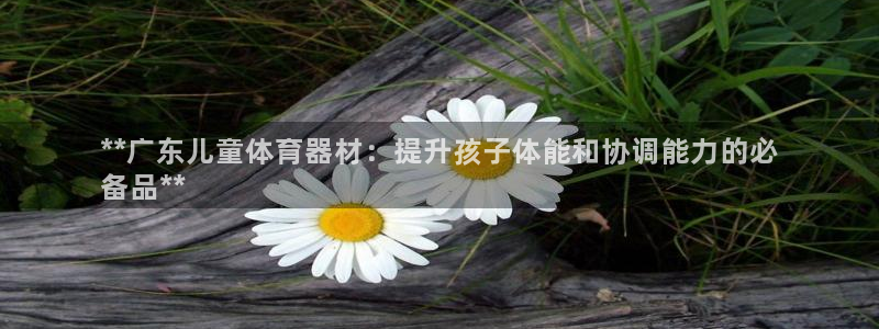 极悦娱乐代理人是谁：**广东儿童体育器材：提升孩子体