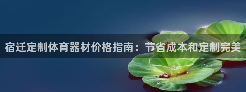 极悦平台是什么：宿迁定制体育器材价格指南：节省成本和