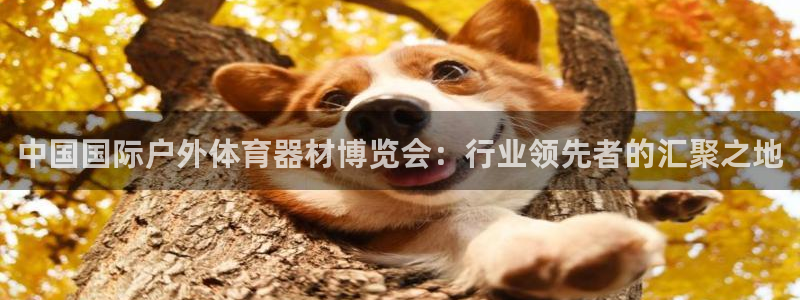 极悦平台城7O777：中国国际户外体育器材博览会：行