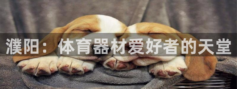 极悦生活家是什么平台：濮阳：体育器材爱好者的天堂