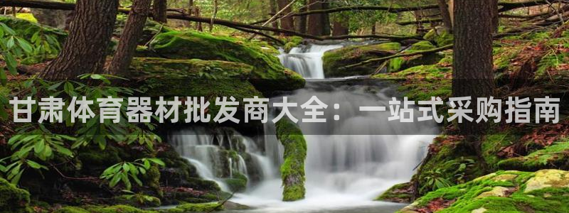 极悦娱乐下载安装手机版：甘肃体育器材批发商大全：一站