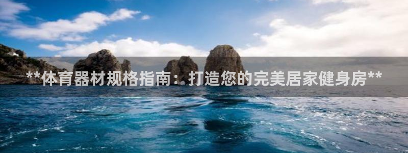 极悦娱乐创始人背景故事：**体育器材规格指南：打造您