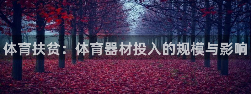 极悦平台用户反馈和反馈的区别：体育扶贫：体育器材投入