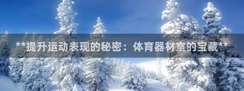 极悦平台是什么：**提升运动表现的秘密：体育器材室的