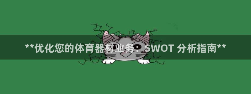 极悦娱乐的创始人背景故事：**优化您的体育器材业务：