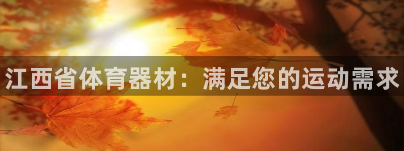 极悦平台注册的弊端及解决方法：江西省体育器材：满足您