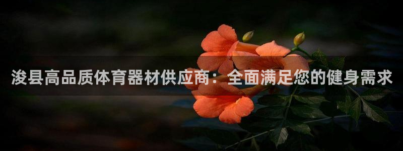 极悦平台是干嘛的公司：浚县高品质体育器材供应商：全面