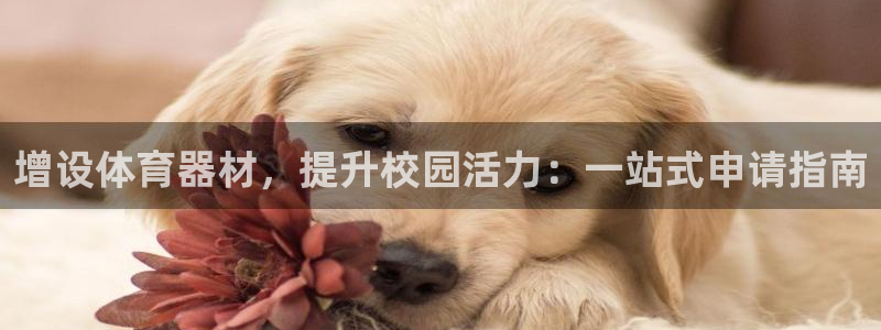极悦娱乐官网入口网址：增设体育器材，提升校园活力：一