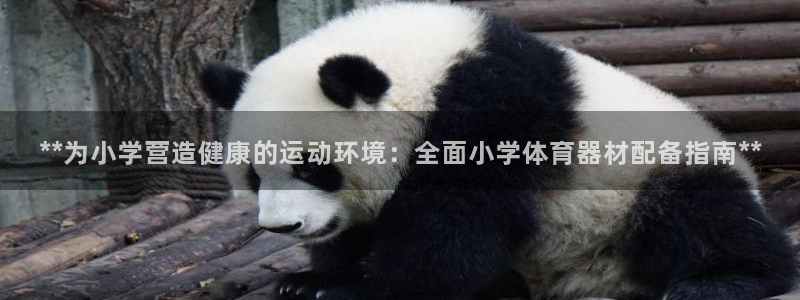 极悦官网登录入口网址：**为小学营造健康的运动环境：
