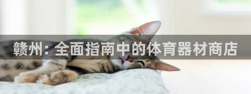 极悦娱乐游戏中心：赣州: 全面指南中的体育器材商店
