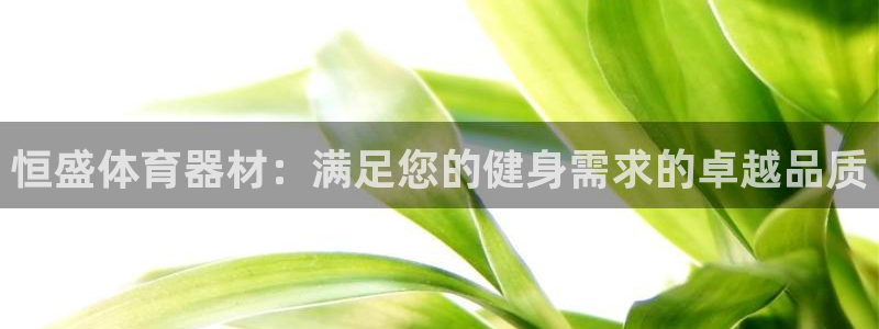 极悦娱乐：恒盛体育器材：满足您的健身需求的卓越品质